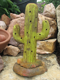 Cactus on Stone