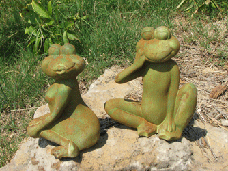 Flirty & Bashful Frogs