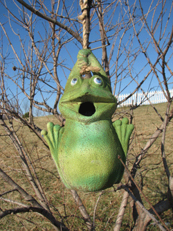 Frog Birdhouse