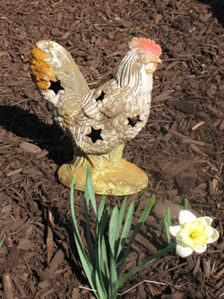 Rooster Luminary