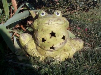 Warty the Frog