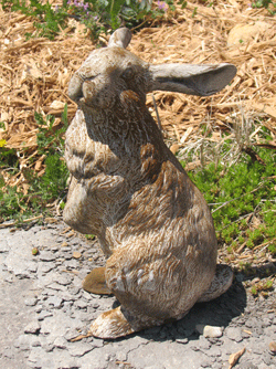Standing Yard Rabbit